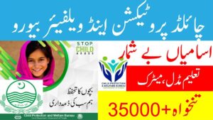 Child Protection and Welfare Bureau Punjab Jobs 2024