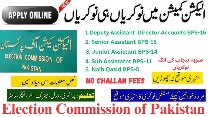 ECP Jobs 2024