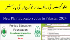 Divisional Public Schools Jobs 2024 || Teaching Staff Required