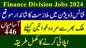 Government of Pakistan Finance Division Jobs 2024