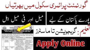 Government Female Teachers Jobs 2024 || Girls College & Schools Teachers Jobs 2024