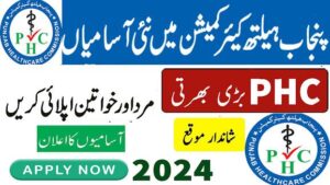 Primary & Secondary Healthcare Department Jobs 2024 || Apply Now