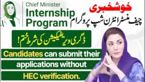 Punjab Internship Program 2024