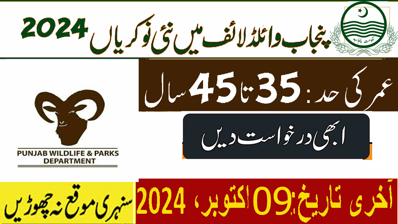 Punjab Wildlife & Park Department Jobs 2024