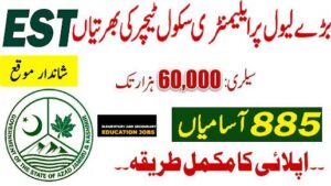 Primary Schools Teachers Jobs 2024