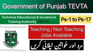 TEVTA Government Punjab Jobs