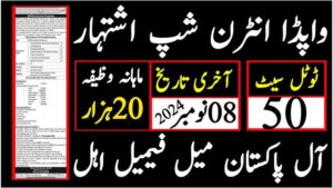 WAPDA Internship Program 2024