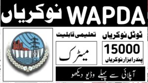 WAPDA Jobs 2024