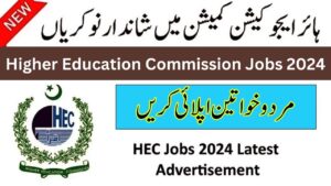 Latest HEC Jobs in Pakistan November 2024 – Higher Education Commission Jobs