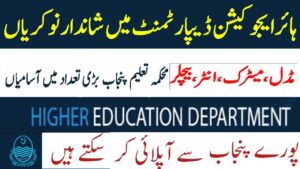 Higher Education Department Punjab Jobs 2025