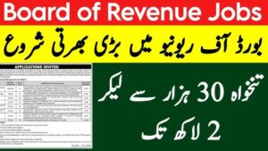 Board of Revenue Punjab Jobs 2024 Apply Online