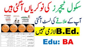 Citizens Foundation Jobs in Punjab December 2024