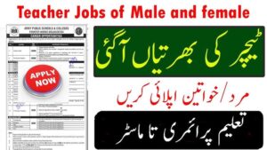 Trained Graduate Teachers Jobs 2024 || Latest Advertisement For Male & Female