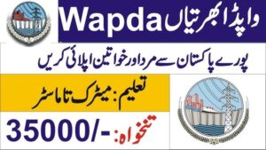 Wapda Jobs 2024 Apply Online