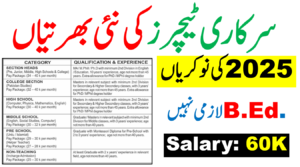 Government Teachers & Lecturer Jobs 2025 || Apply Male & Female