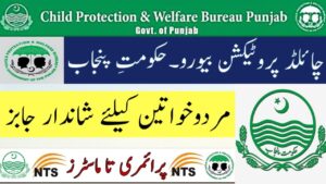 Child Protection and Welfare Bureau Punjab Jobs 2025