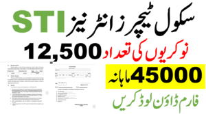 STI Schools Teachers Internees Jobs 2025 || Latest 12500 STI Jobs 2025 || Stipend 45000 Per Month