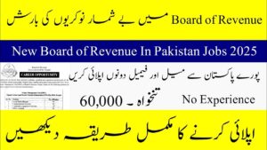 Board Of Revenue BOR Jobs 2025 | www.jobs.punjab.gov.pk Online Apply