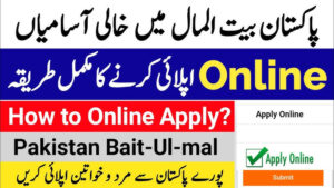 Bait ul Maal Jobs 2025 Latest Advertisement Application Forms