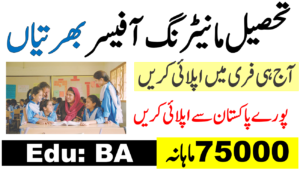 LWMC Tehsil Monitoring Officer Jobs 2025 Apply Online