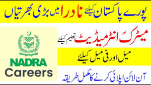 NADRA Jobs 2025 Latest Advertisement Online Apply