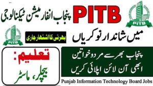 PITB Jobs 2025 Punjab Information Technology Board Online Apply