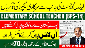 FGEI Jobs 2025 for SST and TGT Advertisement Online Apply