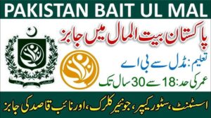 Social Welfare & Bait Ul Maal Punjab Jobs 2025 Apply Last Date