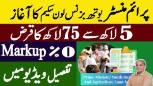 PM Youth Loan Scheme Online Apply in May 2025 For Business Farming