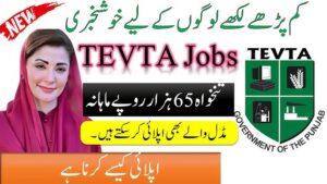 TEVTA Jobs 2025 – Visiting Instructor Latest Advertisement