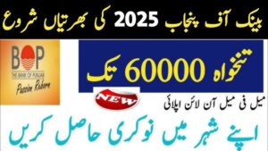 Bank Of Punjab BOP Jobs 2025 | www bop com pk jobs online apply last date
