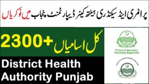 Healthcare Department (Sanitary Petrol Workers) Dengue Program Jobs 2025