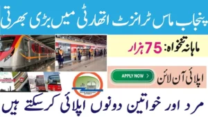 Punjab Masstransit Authority Jobs 2025 Metro Bus Orange Line Metro Train etc