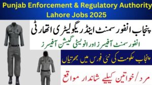 Punjab Enforcement & Regulatory Authority PERA Jobs 2025 Apply Online