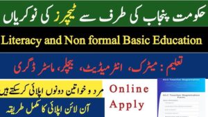 Literacy punjab gov pk Teachers Jobs 2025 in Punjab Literacy Department || Latest Teachers Jobs 2025