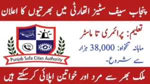 Punjab Safe Cities Authority PSCA Lahore Jobs 2025 Apply Online