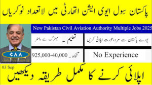 Pakistan Civil Aviation Authority PCAA Jobs 2025 – Situation Vacant Notice No. 07/2025 (Full Details)