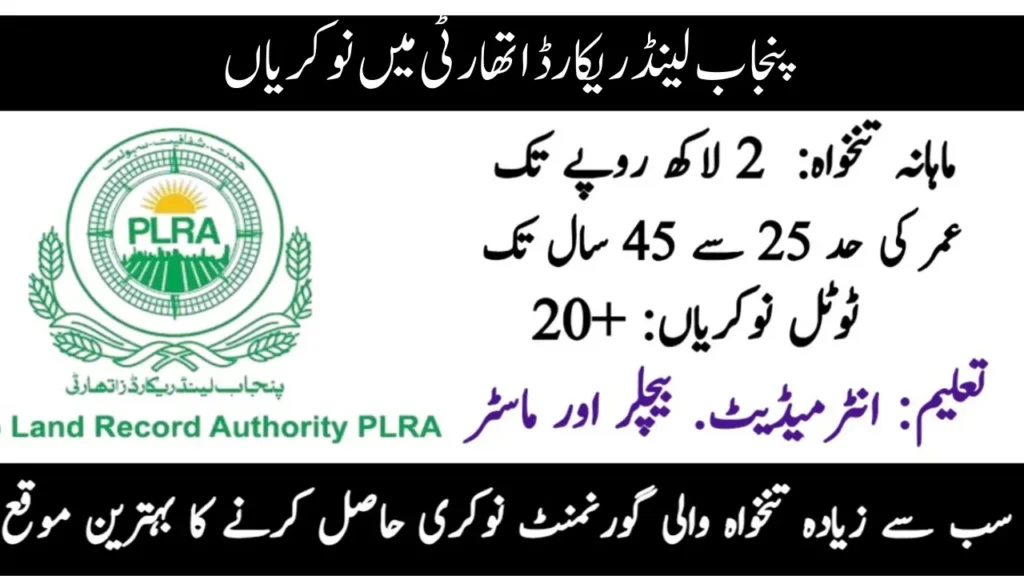 Punjab Land Records Authority Jobs 2026