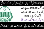 WASA Jobs 2025
